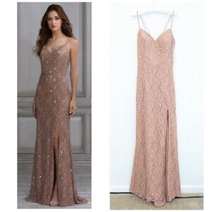 NWT Adrianna Papell Platinum Beaded Lace Dress in Rose Gold